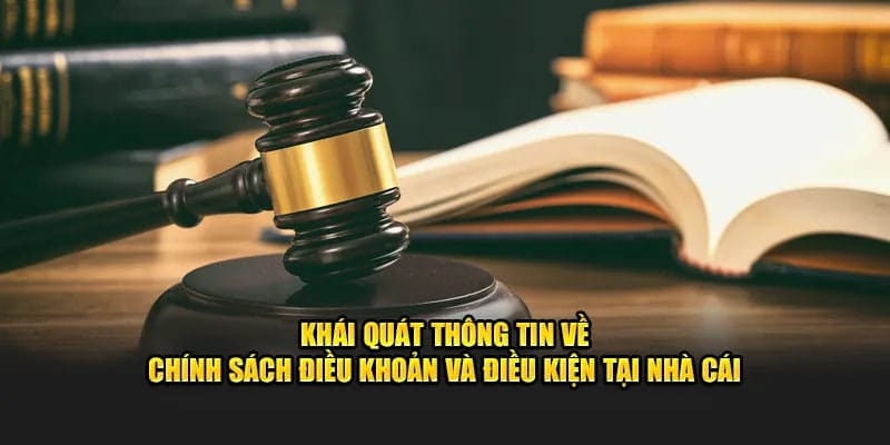 Điều khoản và điều kiện nhà cái nohu90