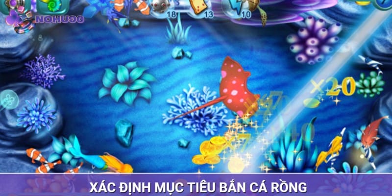 Biết cách xác định mục tiêu khi săn cá rồng tại NOHU90