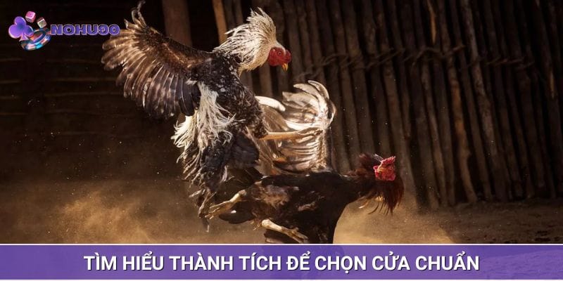 Kinh nghiệm đặt vào đúng cửa cược Kinh nghiệm đặt vào đúng cửa cược