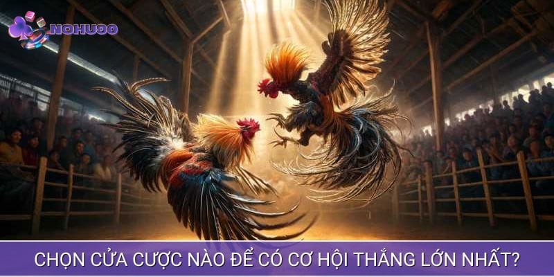 Chọn cửa cược hợp lý Chọn cửa cược hợp lý