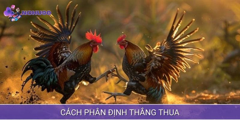 Cách phân định thắng thua chi tiết và rõ ràng Cách phân định thắng thua chi tiết và rõ ràng