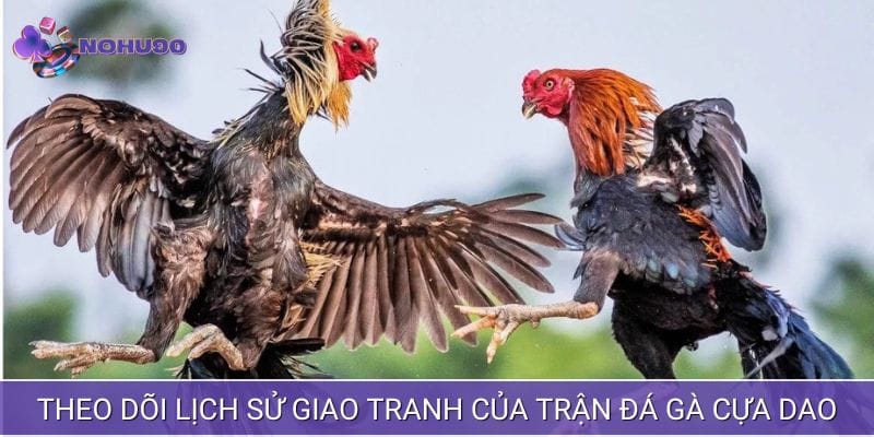 Theo dõi lịch sử giao tranh của trận đá gà cựa dao để có quyết định đặt cược chính xác Theo dõi lịch sử giao tranh của trận đá gà cựa dao để có quyết định đặt cược chính xác