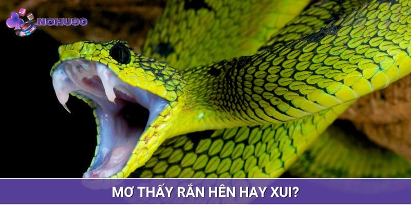 Ngủ mơ thấy rắn có thể là hên hoặc xui tuỳ thuộc vào từng tình huống Ngủ mơ thấy rắn có thể là hên hoặc xui tuỳ thuộc vào từng tình huống