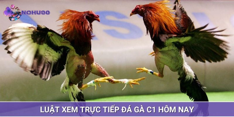 Luật chi tiết được phổ cập dễ hiểu Luật chi tiết được phổ cập dễ hiểu