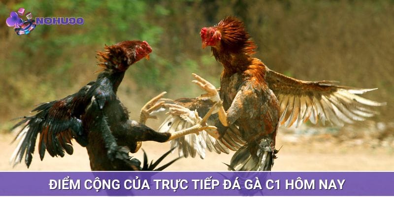 Kết quả được update sau vài giây Kết quả được update sau vài giây