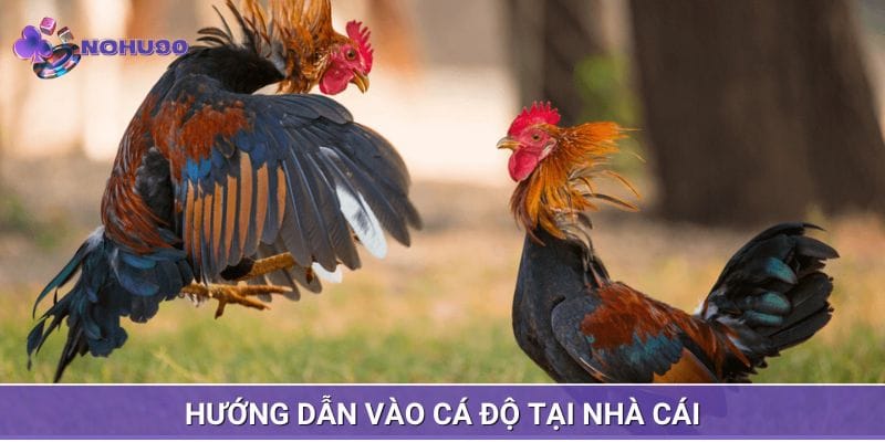 Hướng dẫn cách cược vào sản phẩm tại nhà cái Hướng dẫn cách cược vào sản phẩm tại nhà cái